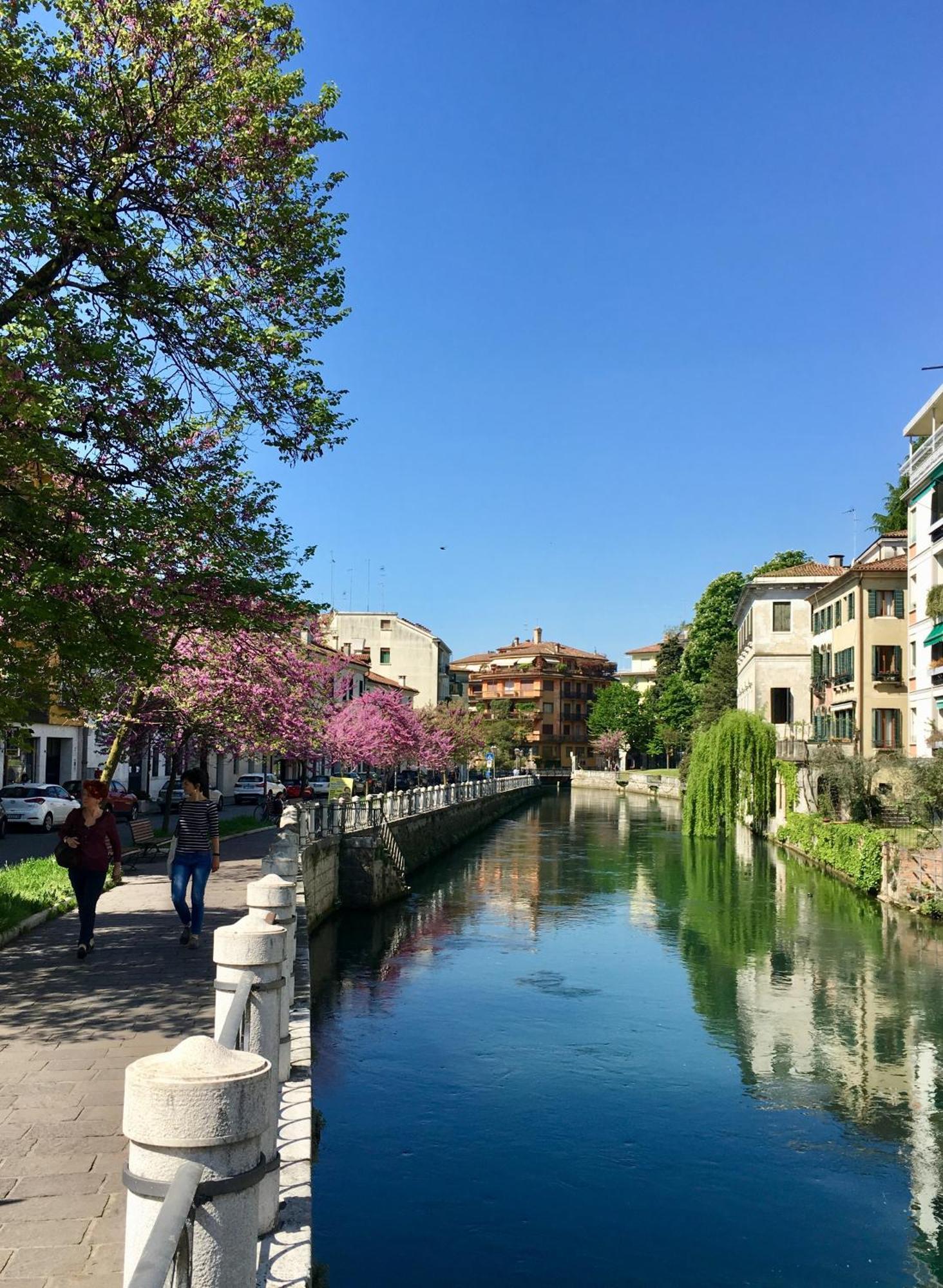 Maison Altinia, Locazione In Centro Storico A Due Passi Dalla Stazione Treviso Exterior photo
